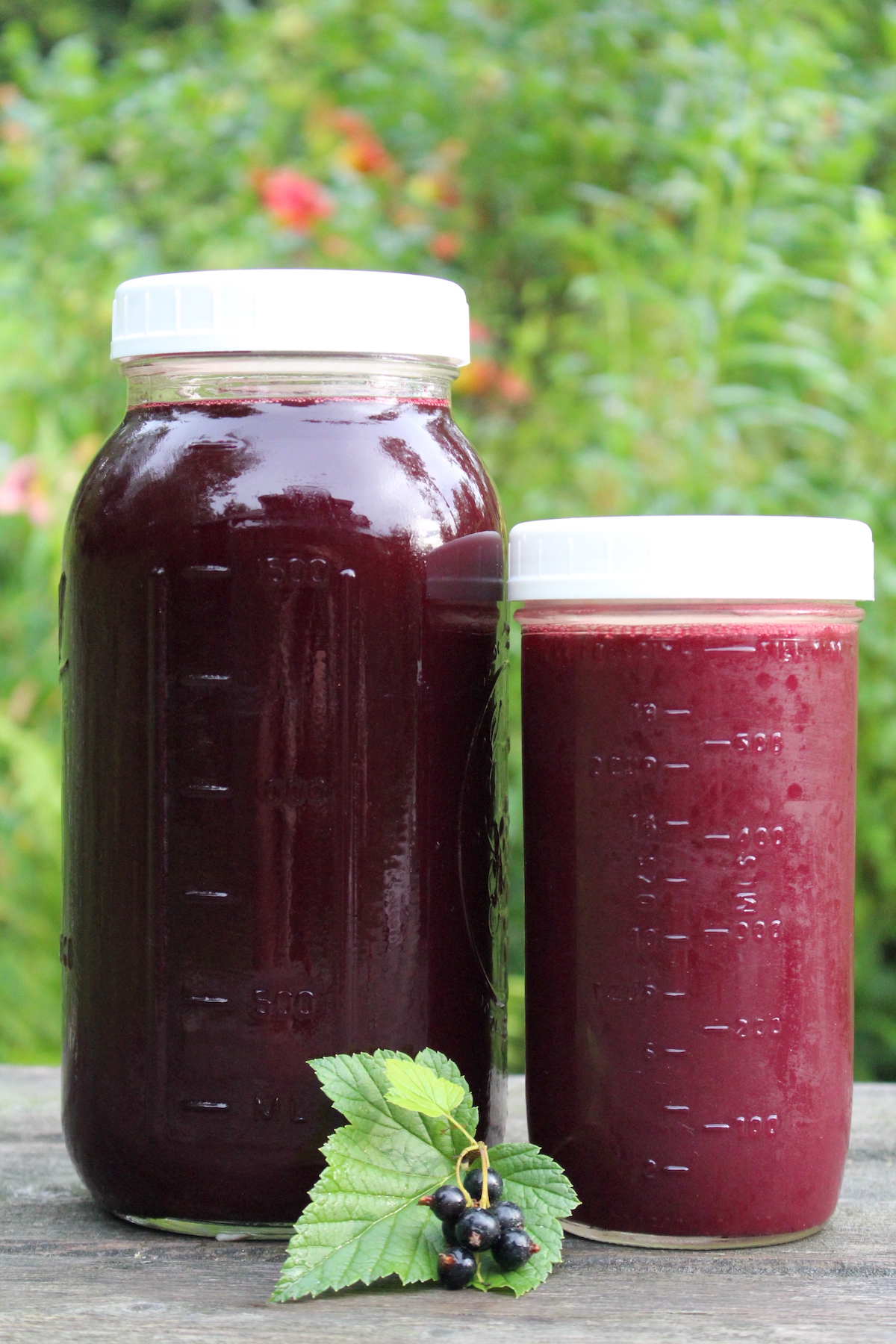 Juice for Blackcurrant Wine