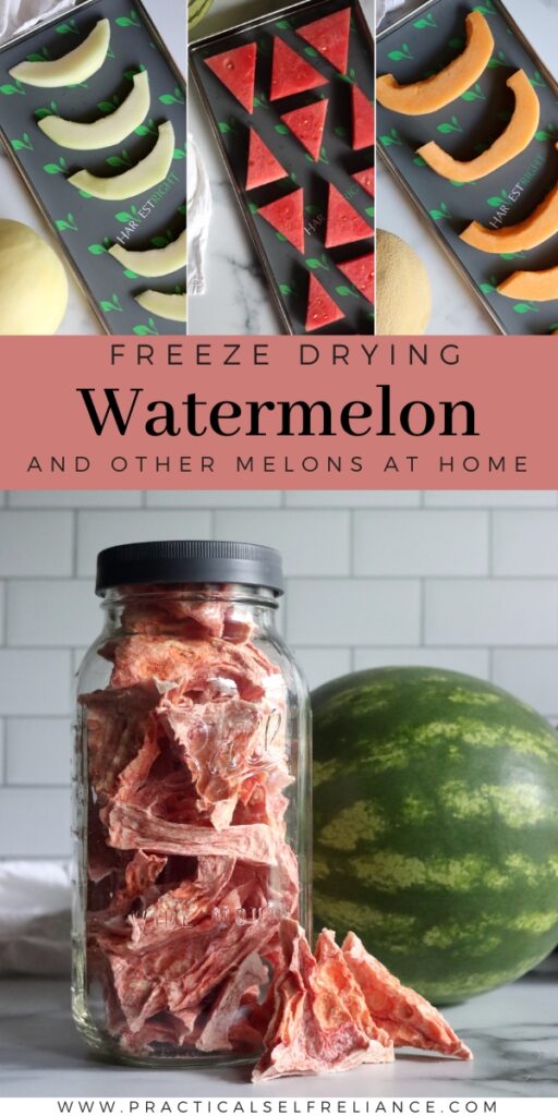 How To Freeze Dry Watermelon Other Melons Practical Self Reliance how-to-freeze-dry-watermelon-other-melons-practical-self-reliance