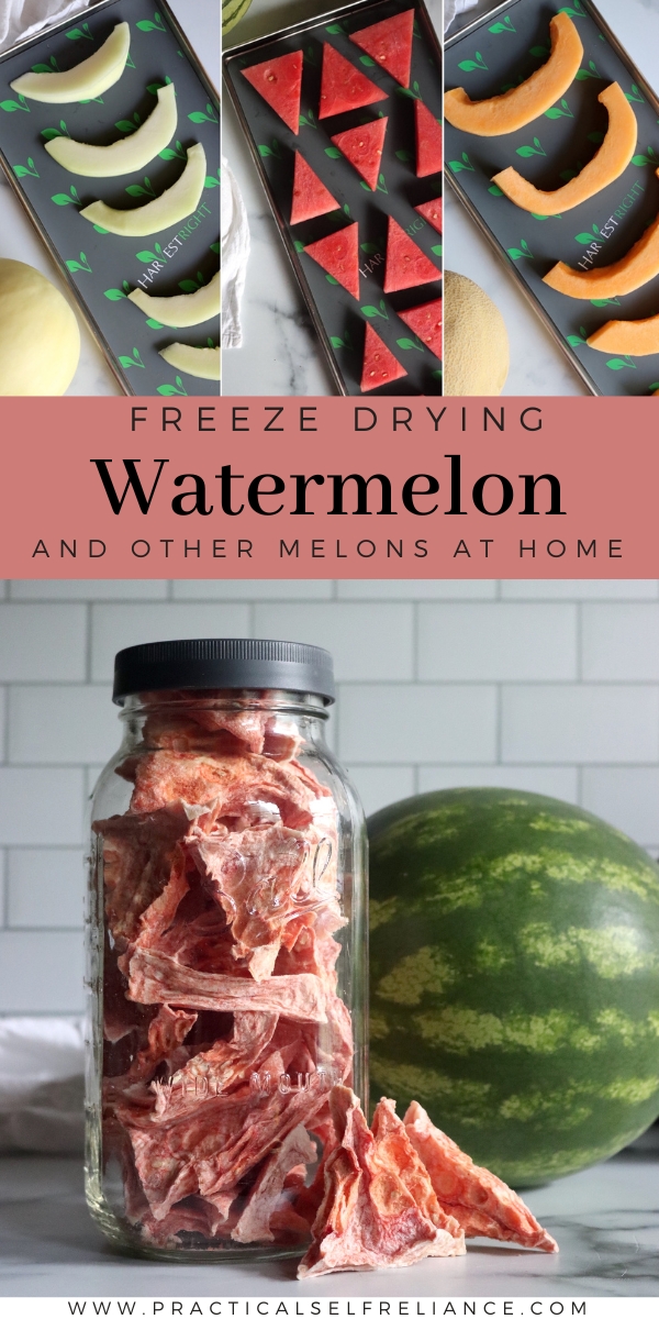 Freeze Drying Melons at Home