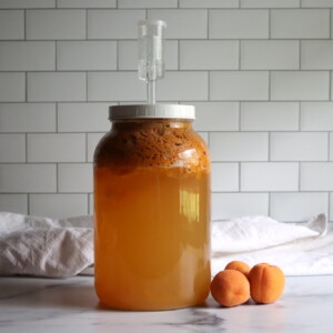 Apricot Wine