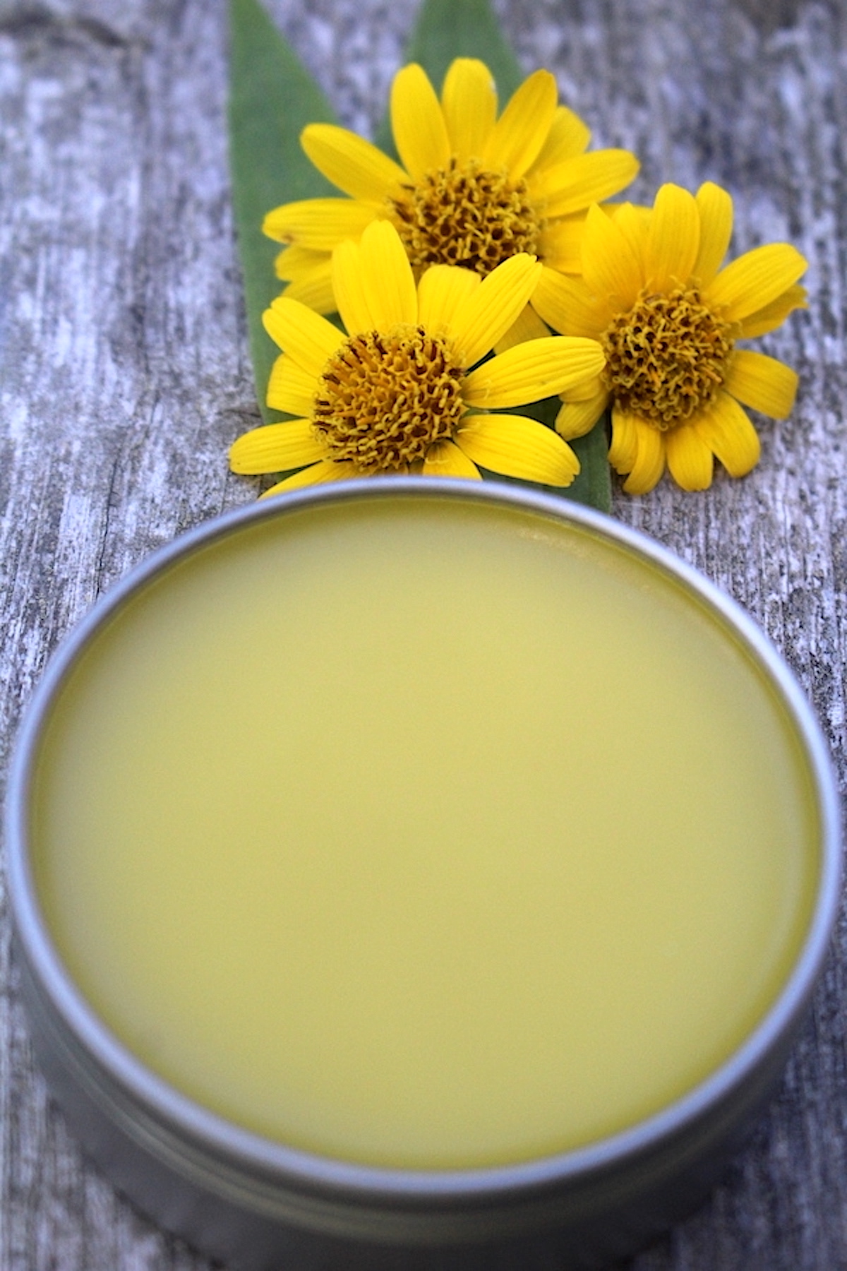 Arnica Salve