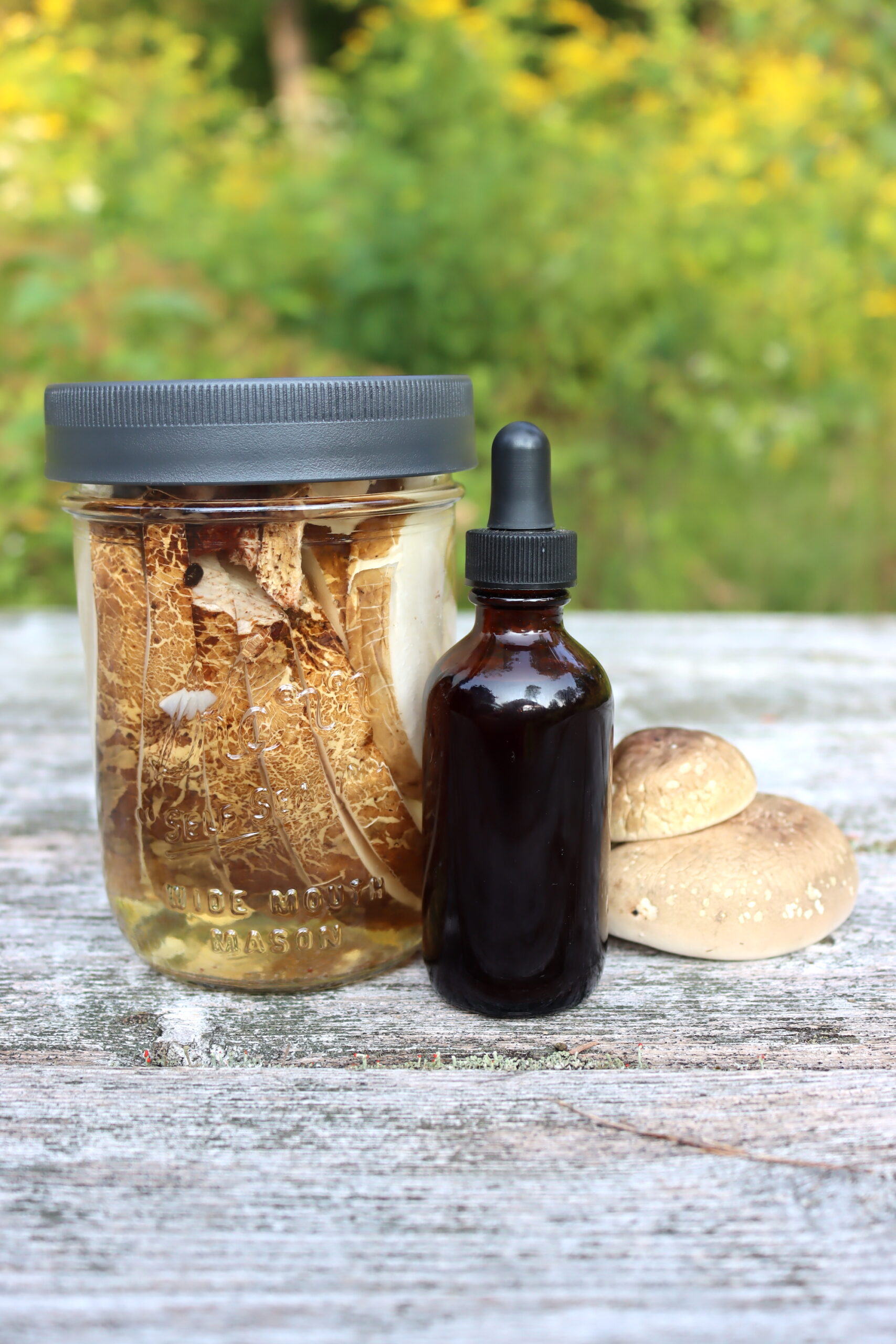 Birch Polypore Tincture