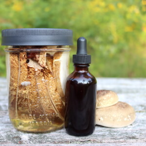 Birch Polypore Tincture