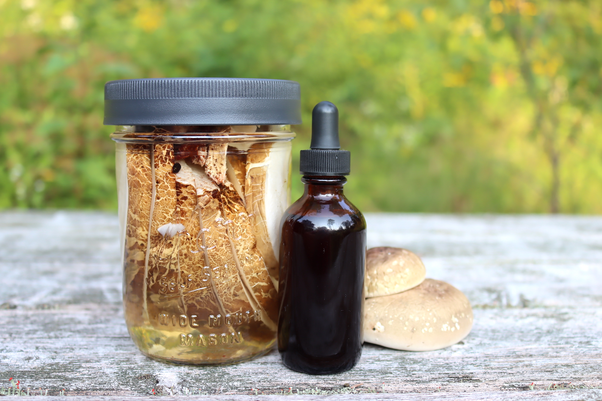 Birch Polypore Tincture