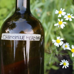 Chamomile Mead
