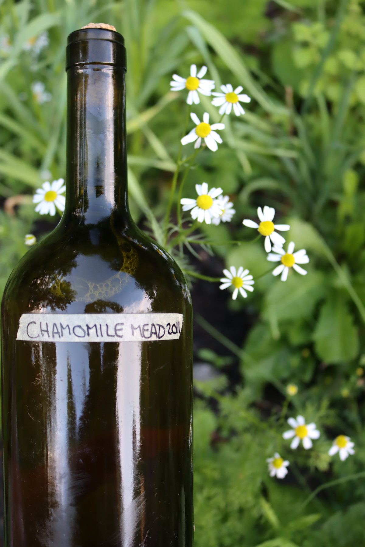 Chamomile Mead