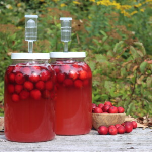 Crabapple Wine