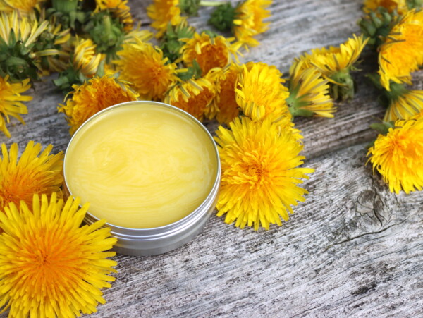 Dandelion Salve