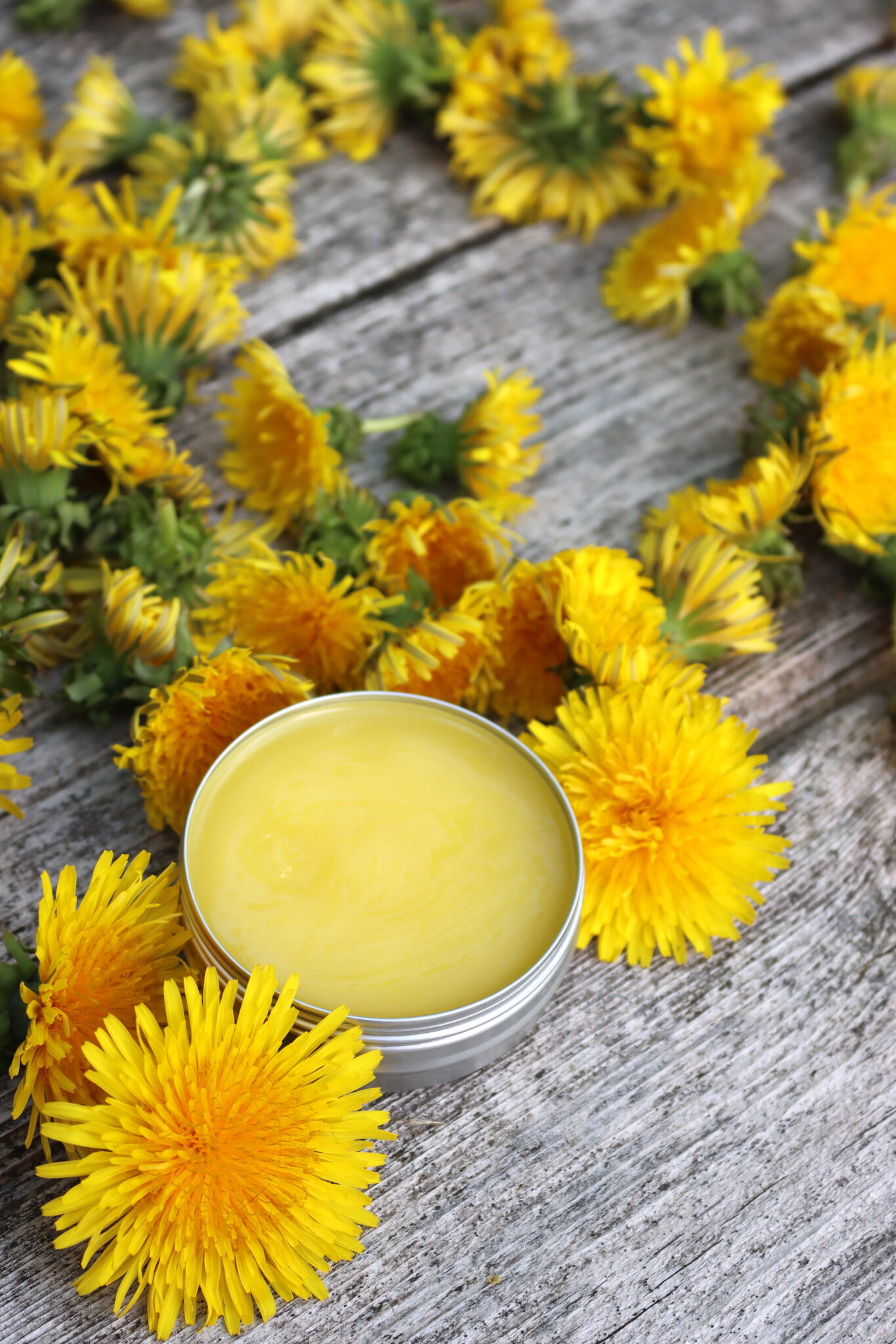 Dandelion Salve