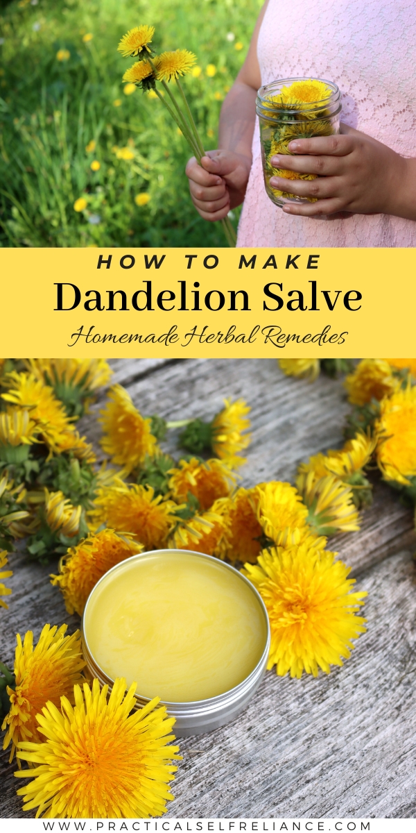 Dandelion Salve Recipe