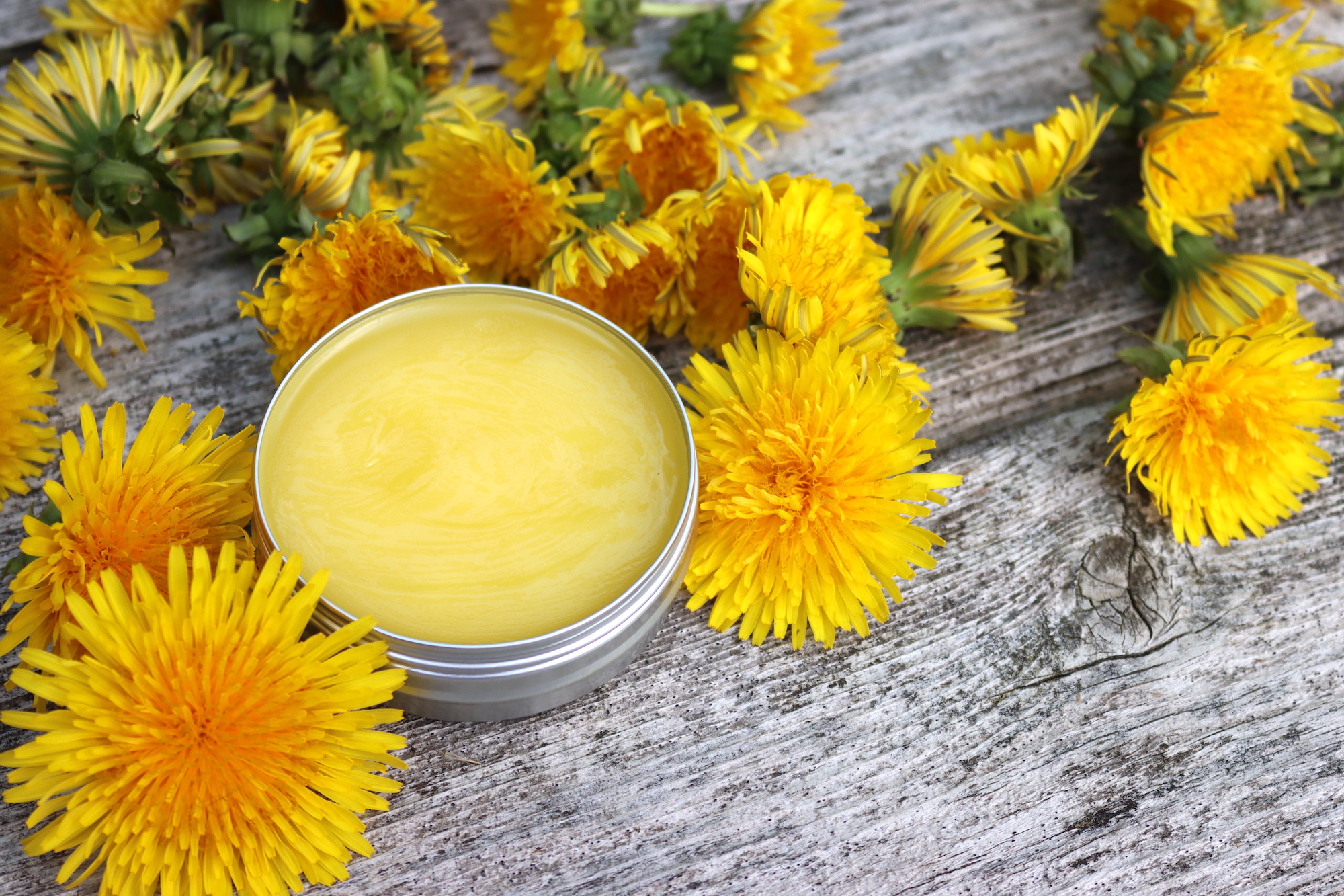 Dandelion Salve