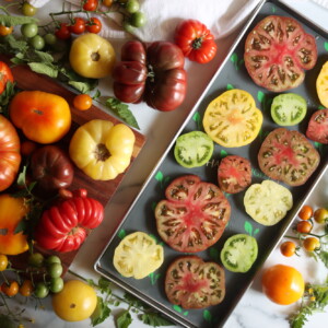 Freeze Drying Tomatoes