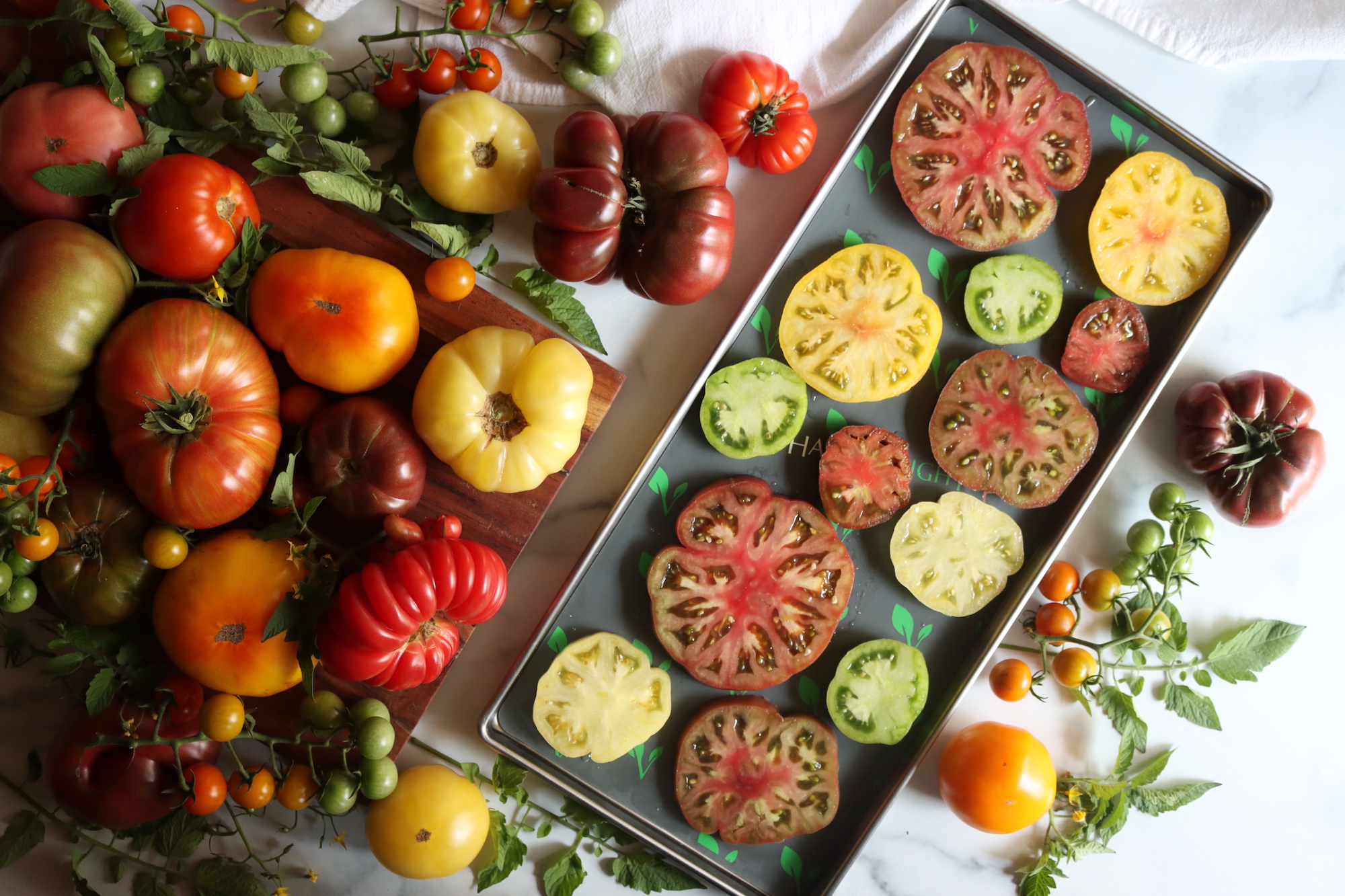 Freeze Drying Tomatoes