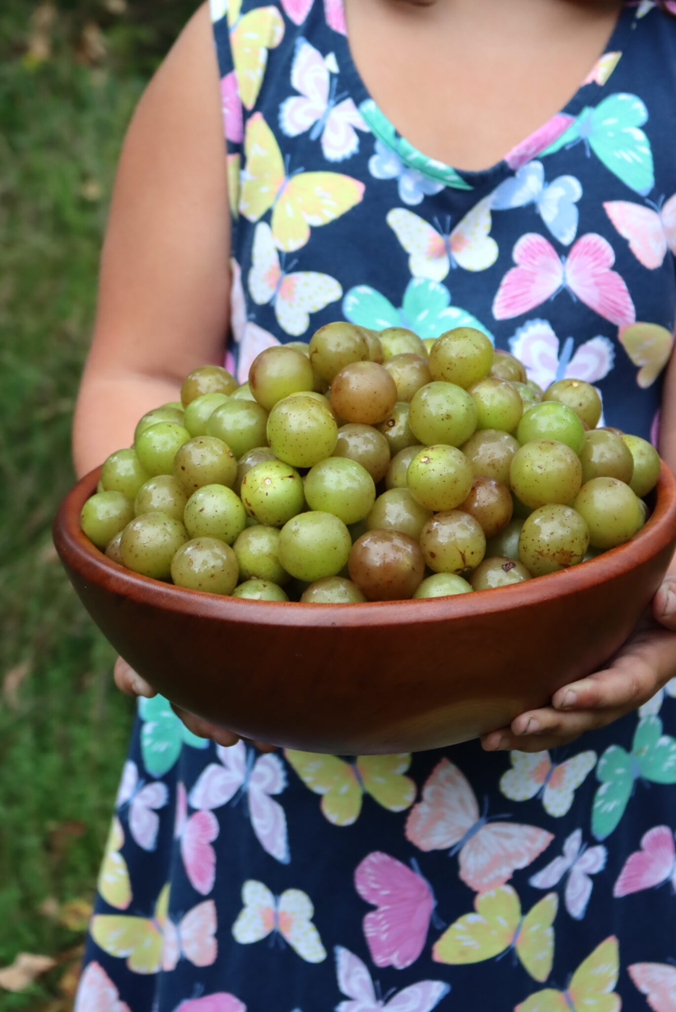 Green Muscadine Grapes