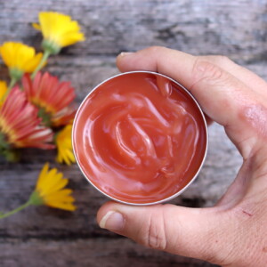 Herbal Burn Salve