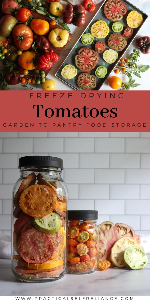 How to Freeze Dry Tomatoes