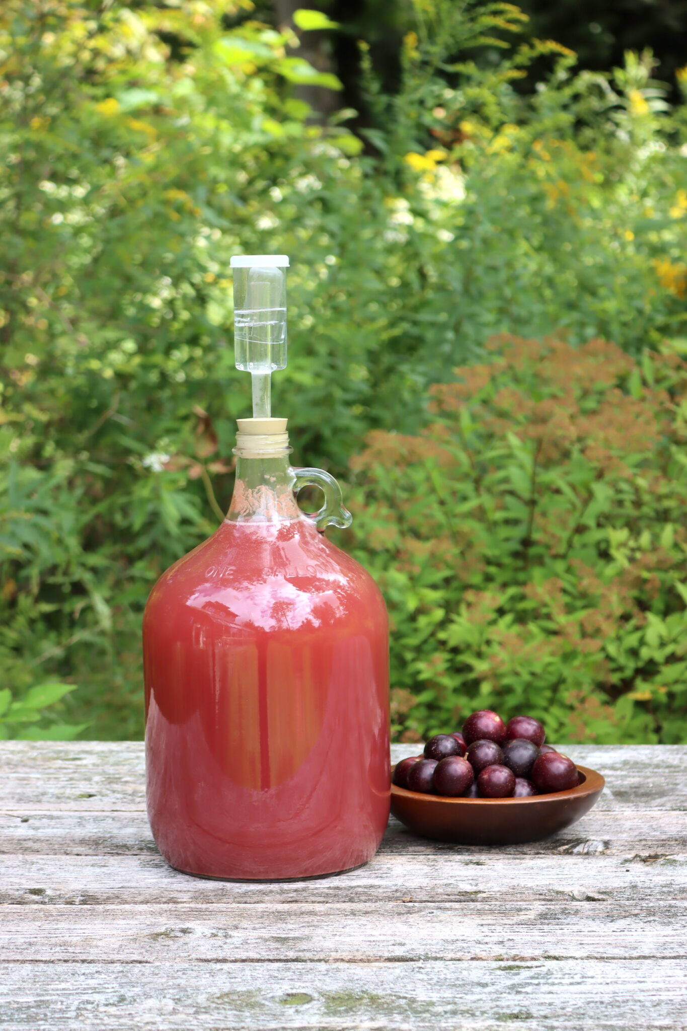 Muscadine Wine