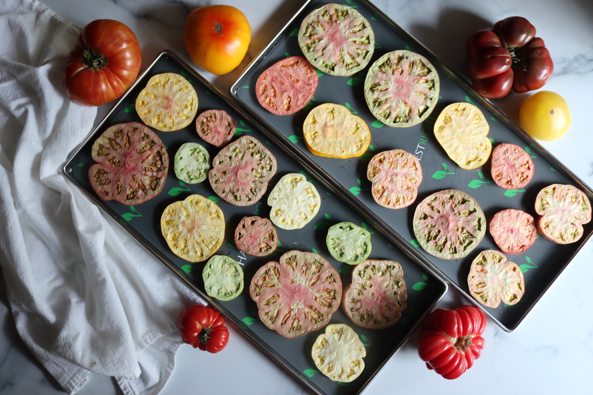 Trays of Freeze Dried Tomatoes