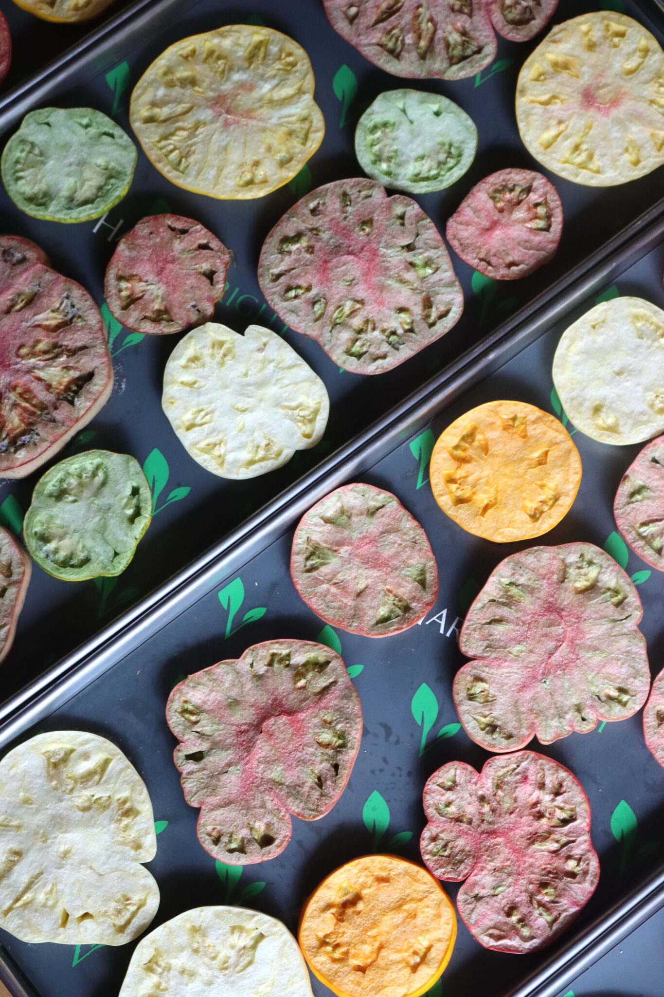 Trays of Freeze Dried Tomatoes