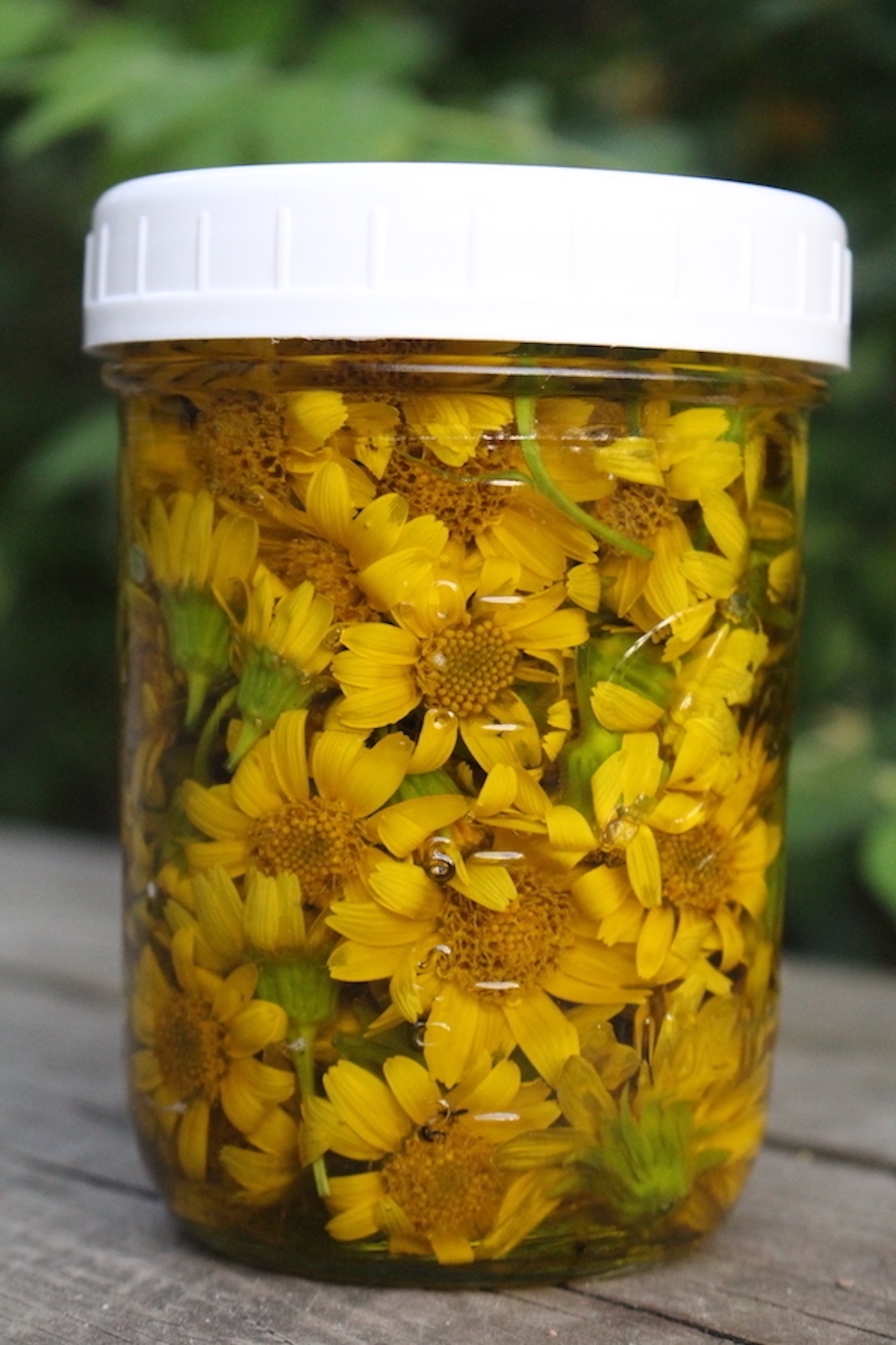 Arnica Infused Oil