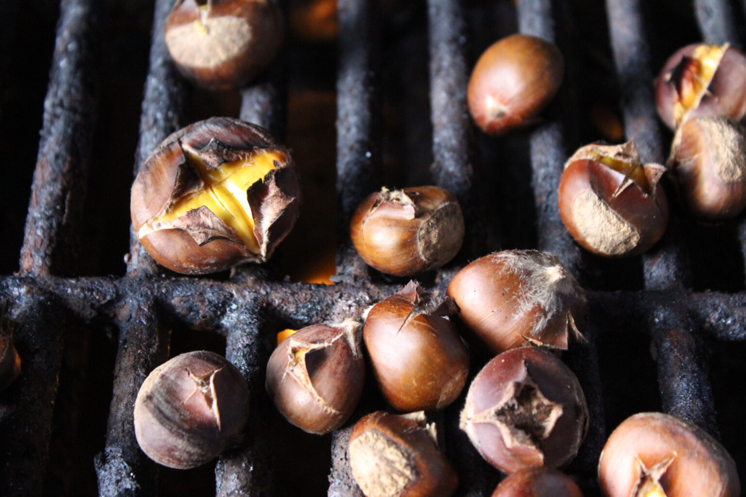 Roasting Chestnuts on a Grill