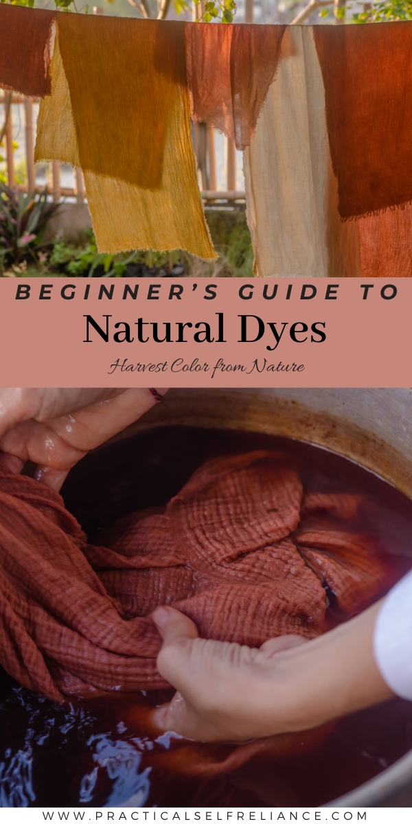 Beginner's Guide to Natural Dyes