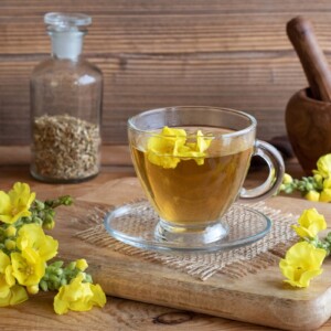 Mullein Tea