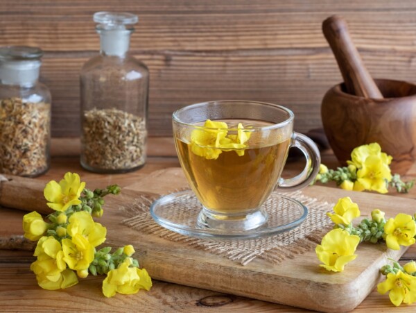 Mullein Tea