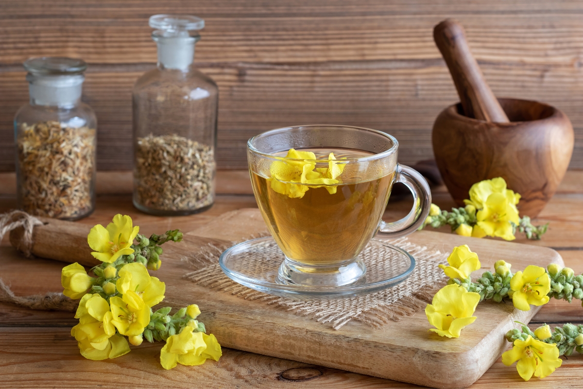 Mullein Tea