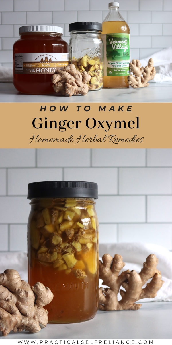 Ginger Oxymel Recipe