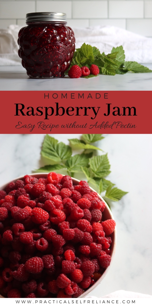 Raspberry Jam Recipe