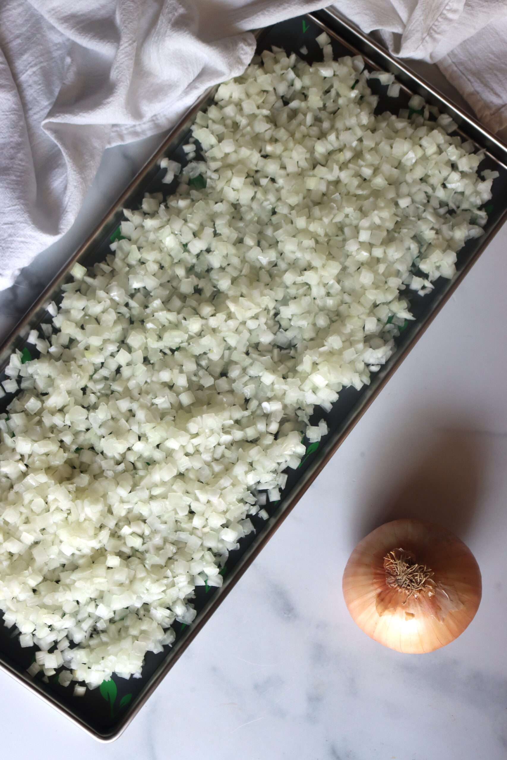 Freeze Drying Onions