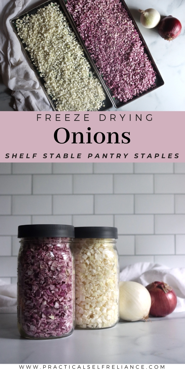 Freeze Drying Onions at Home