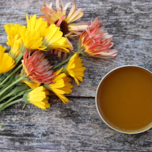 Calendula Salve