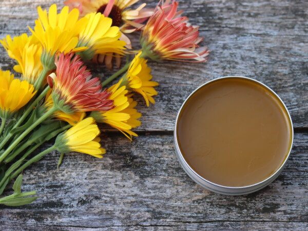 Calendula Salve