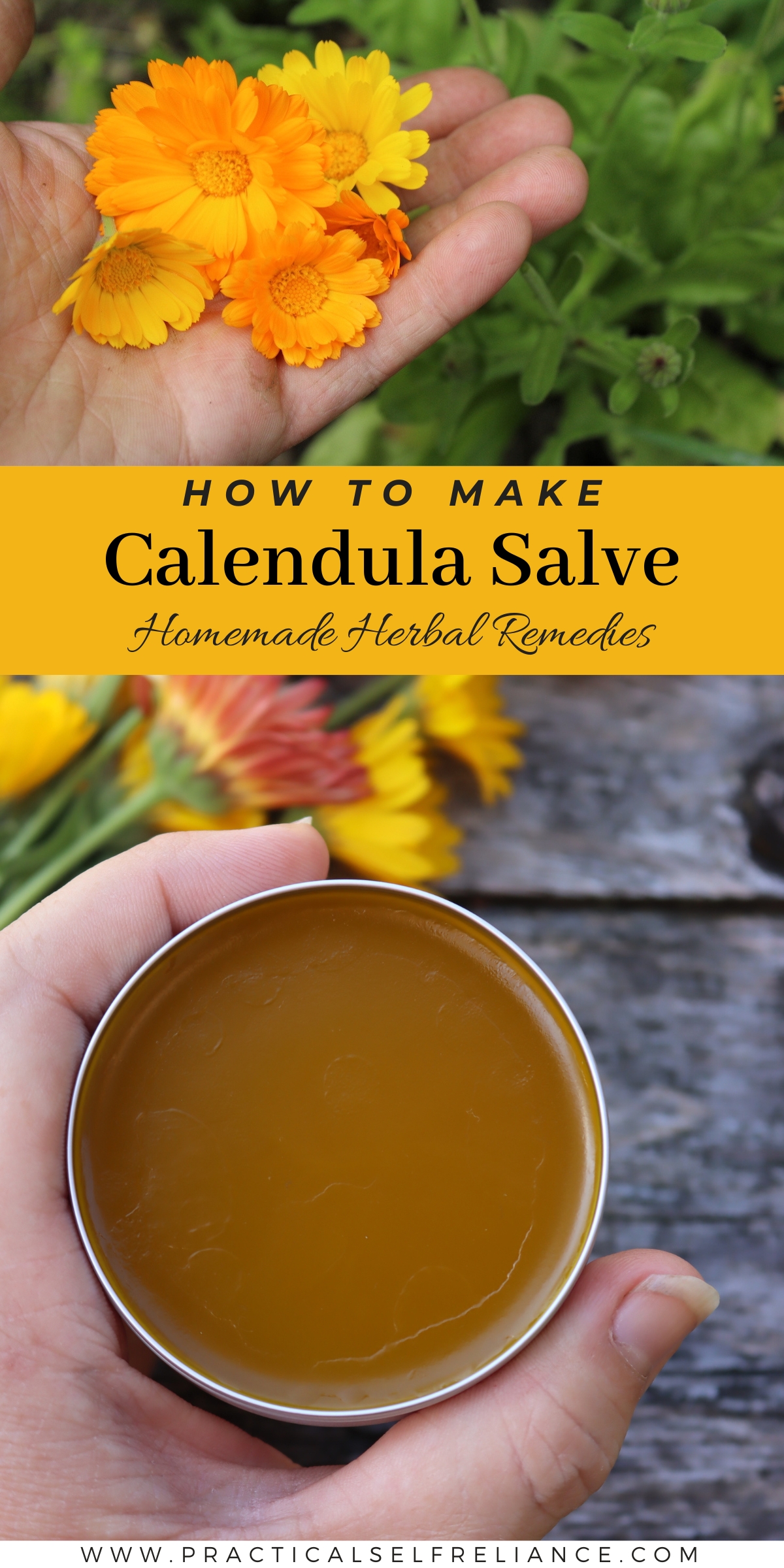 Calendula Salve Recipe