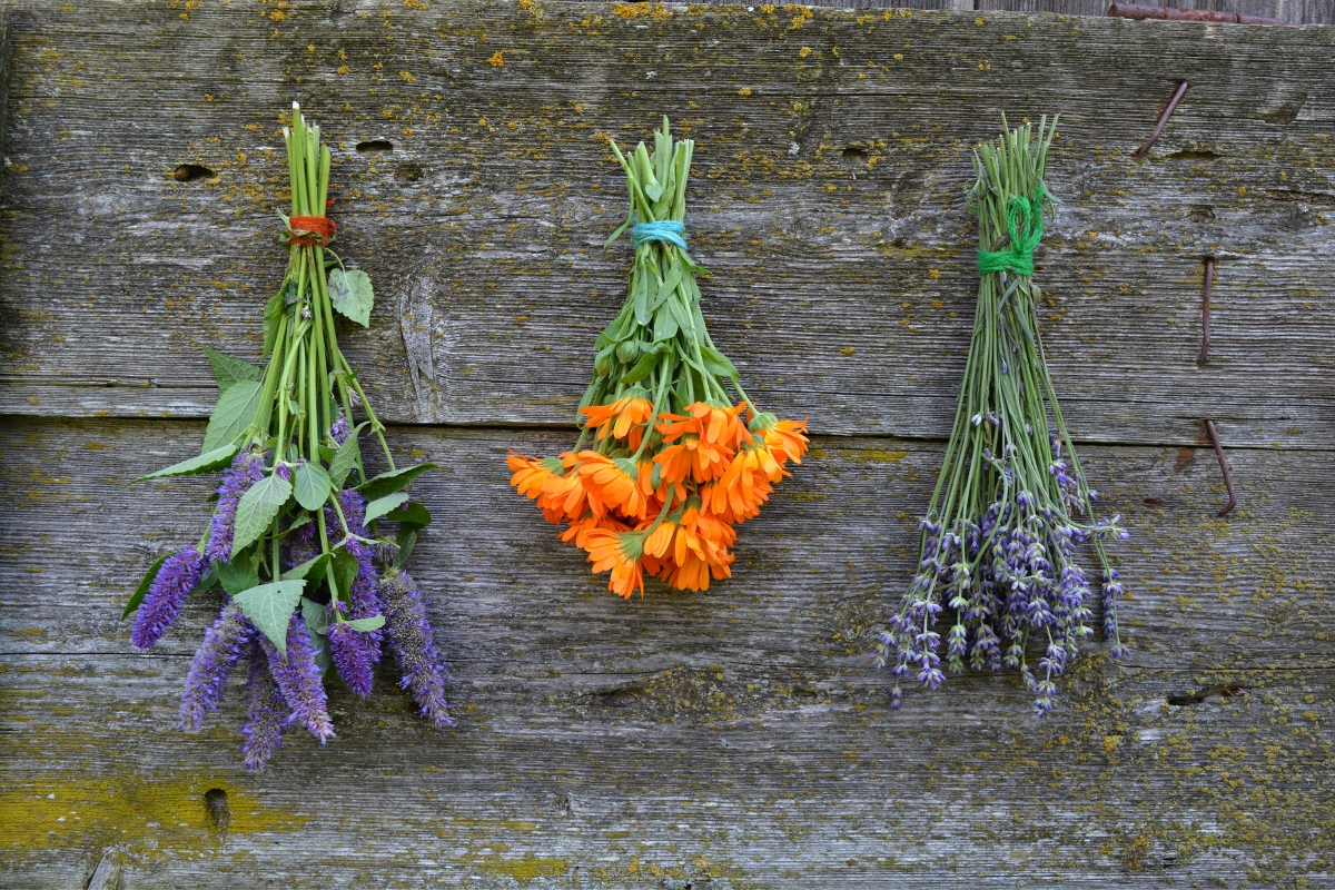 Drying Medicinal Herbs