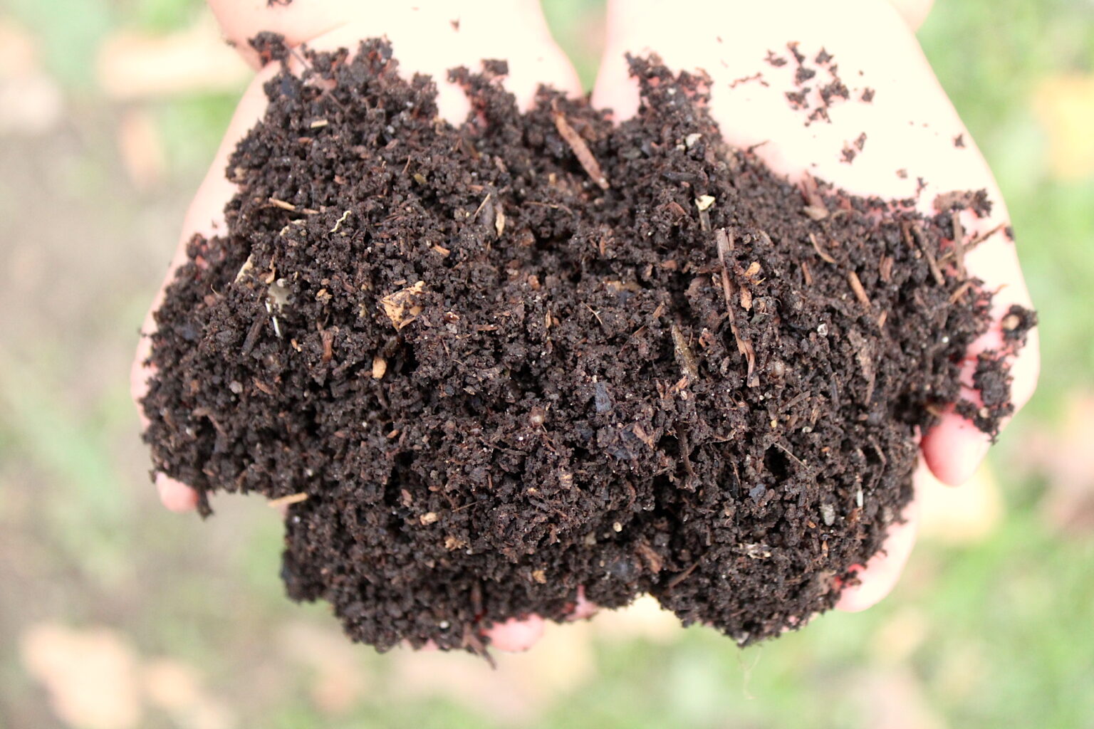 Finished Compost from our compost bin, ready to go on the gardens.