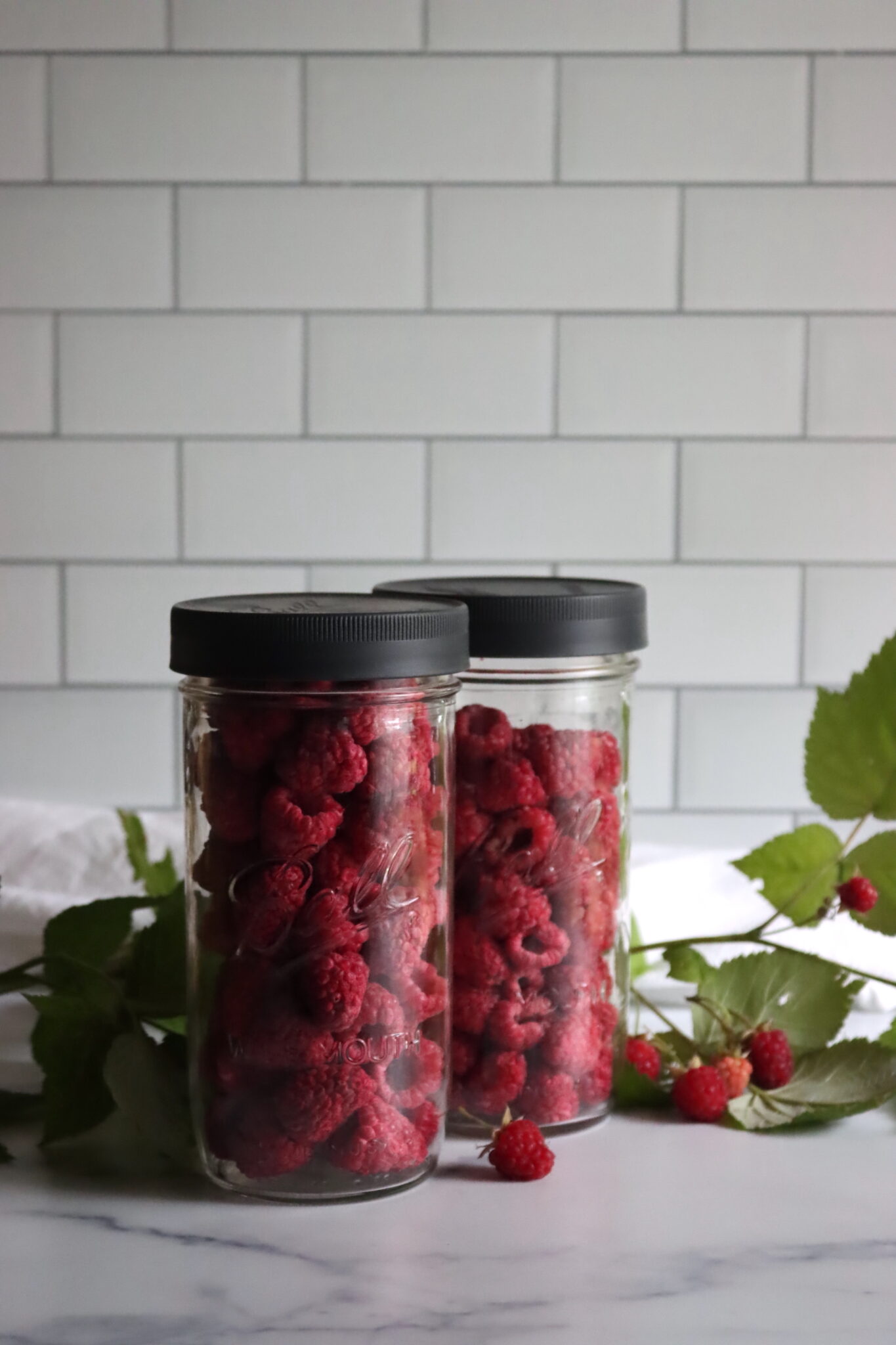Freeze Dried Raspberries