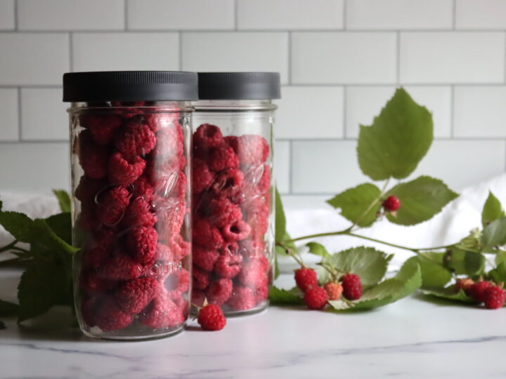 Drying Raspberries Inoven Freeze Drying Onions — Practical Self Reliance