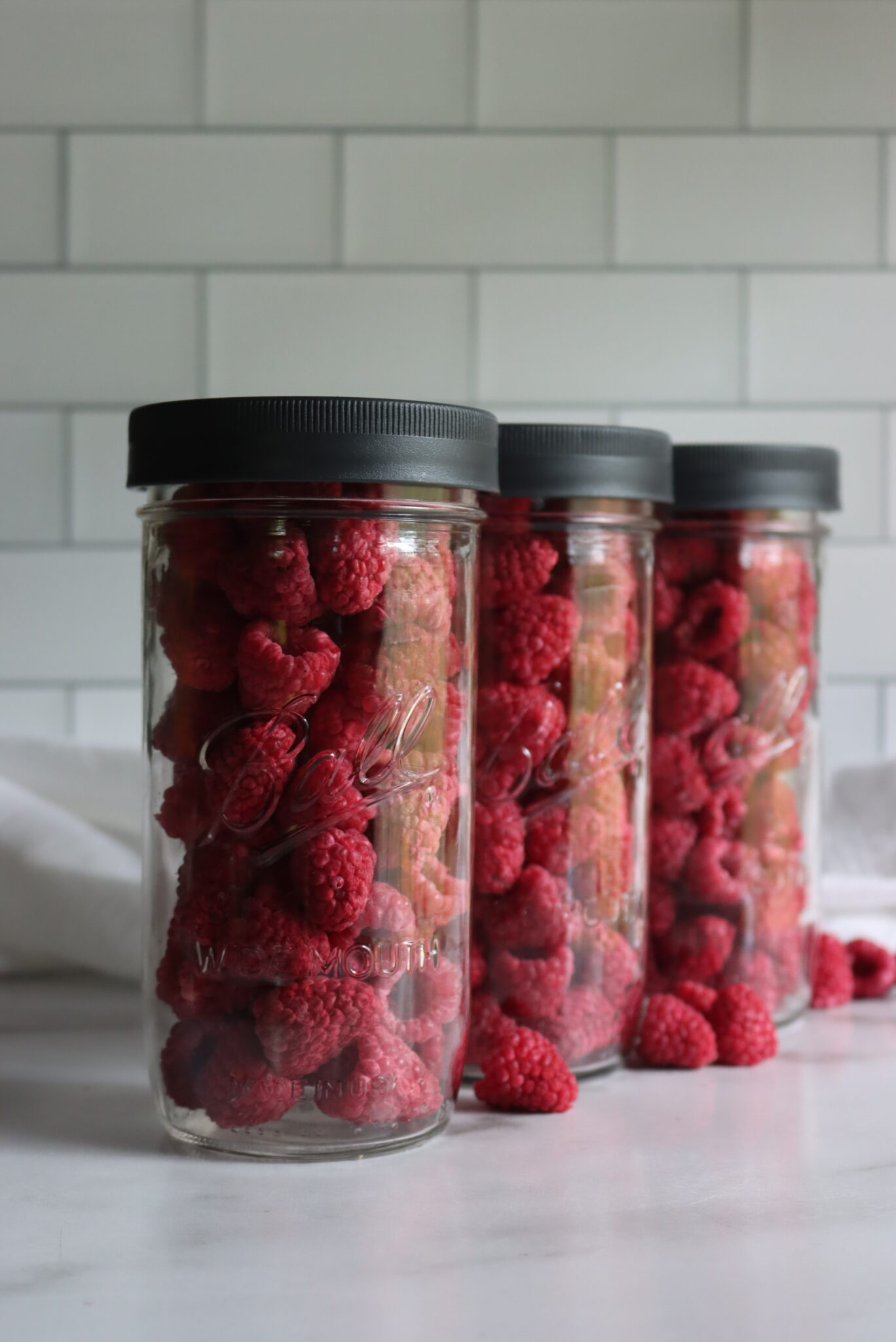 Freeze Dried Raspberries
