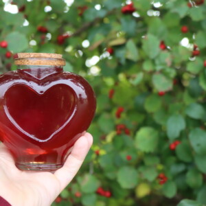 Hawthorn Syrup