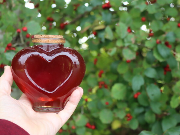 Hawthorn Syrup
