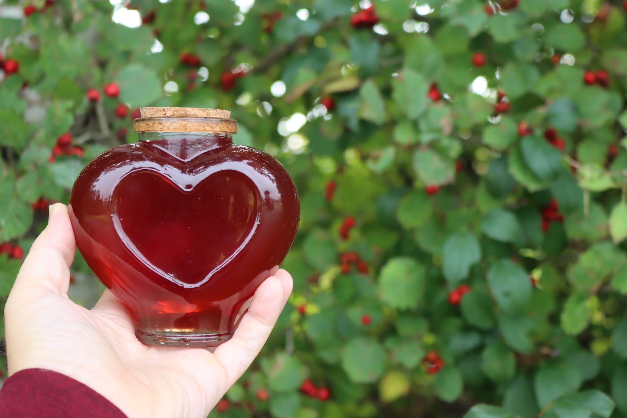 Hawthorn Syrup