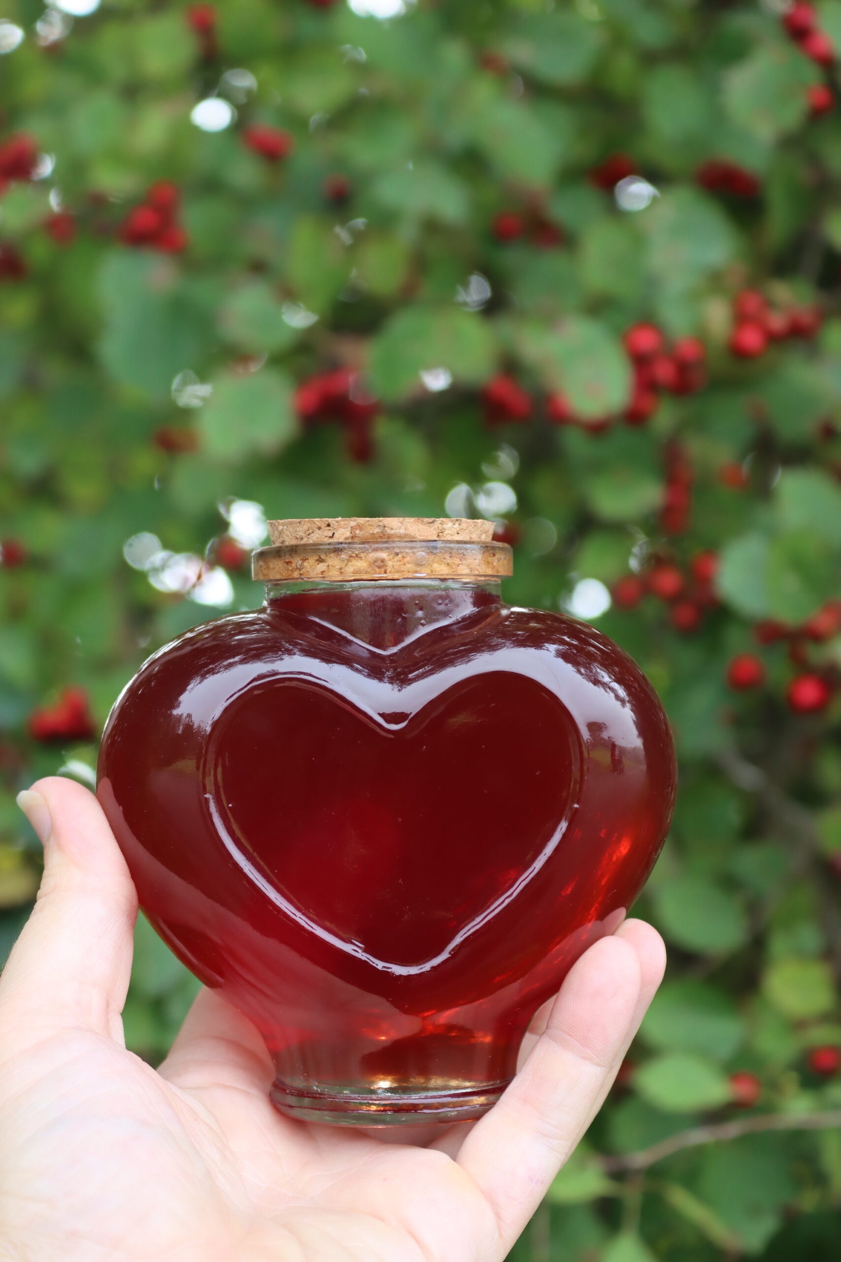 Hawthorn Syrup