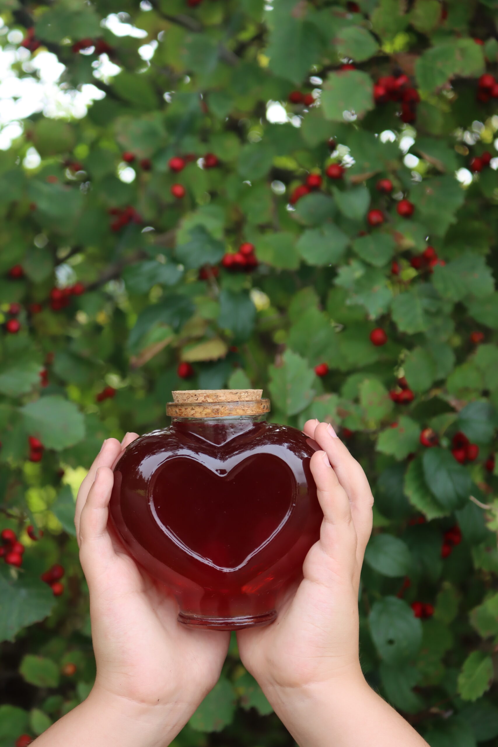 Hawthorn Syrup