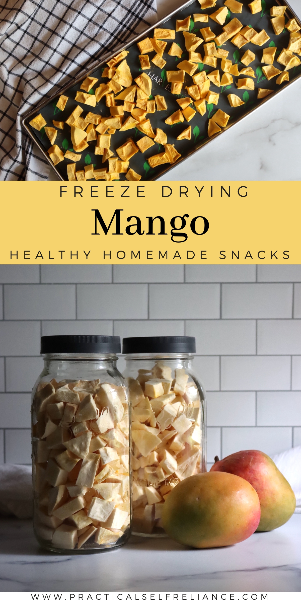 How to Freeze Dry Mango
