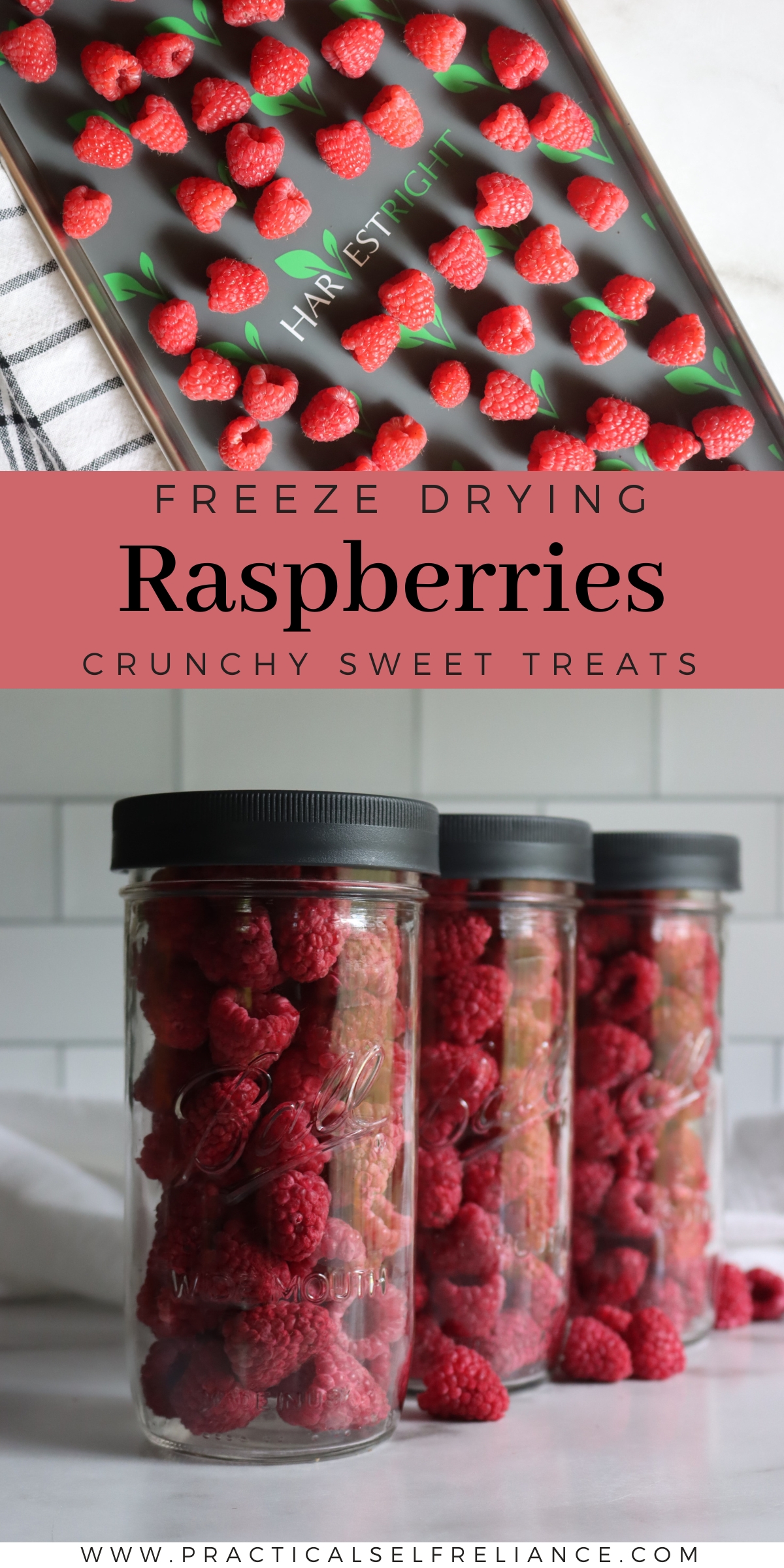 How to Freeze Dry Raspberries