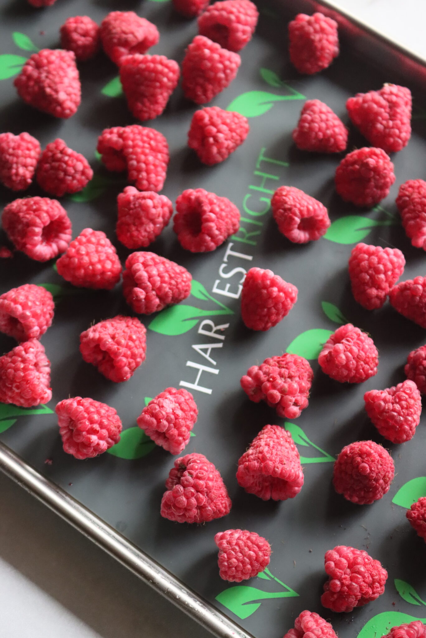 Finished freeze dried raspberries. You can barely tell the difference between the fresh and the dried in the pictures.