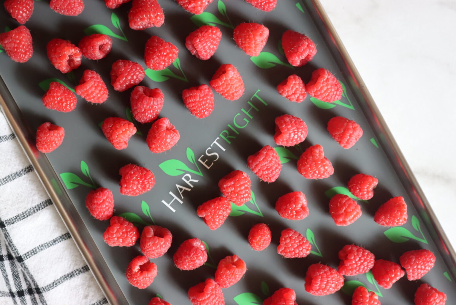 Raspberries on Tray for Freeze Drying